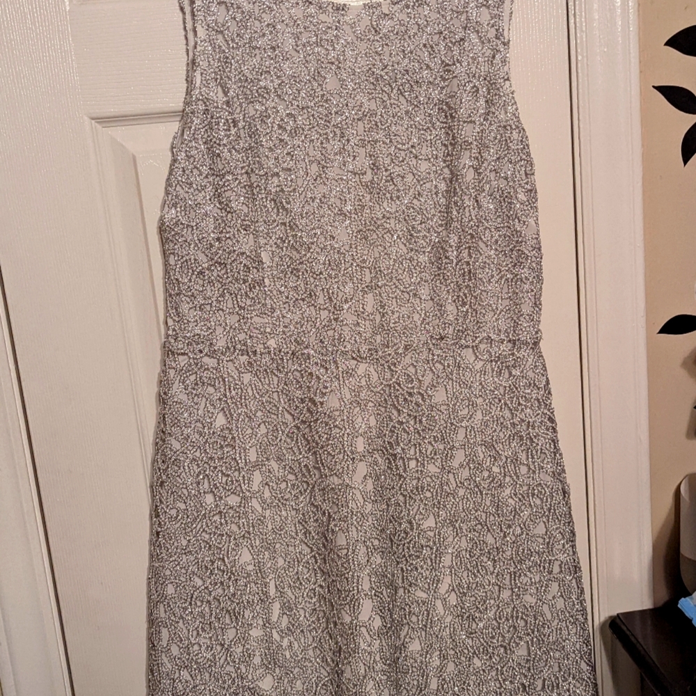 Knee Length Silver Dress